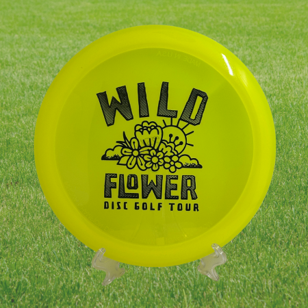 Innova Champion Roadrunner