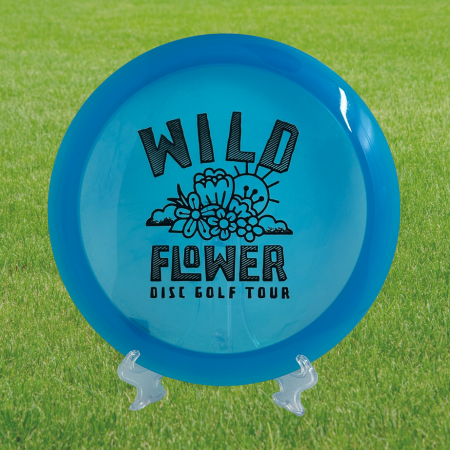 Innova Champion Roadrunner