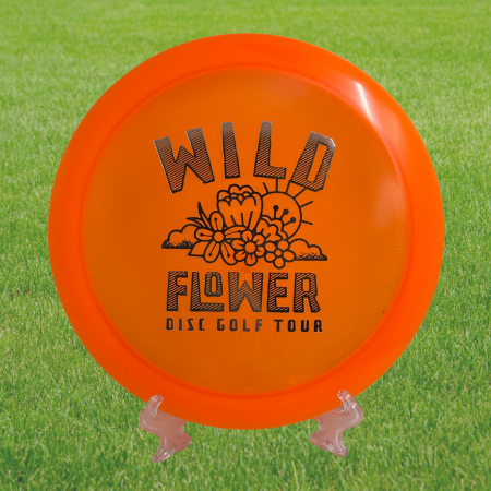 Innova Champion Roadrunner