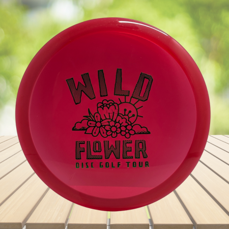Innova Champion Rollo