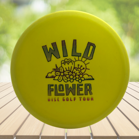 Innova DX Roc