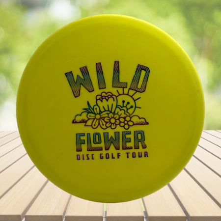 Innova DX Roc