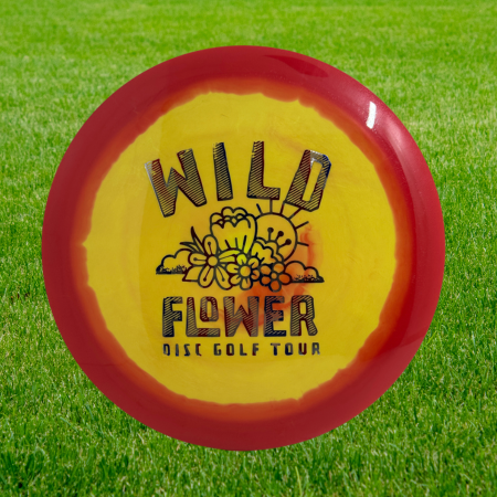 Innova Halo Star Roadrunner