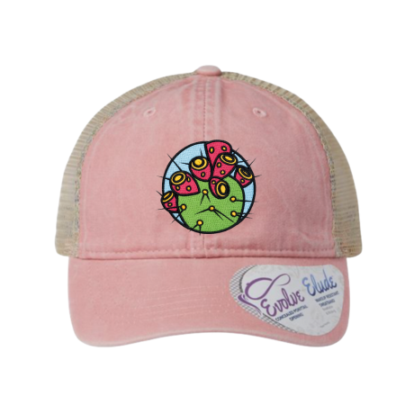 Wildflower Tour - Pink Prickly Pear Hat